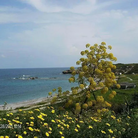 Apartment Marina B 16 - Tatlisu Trnc Akanthou
